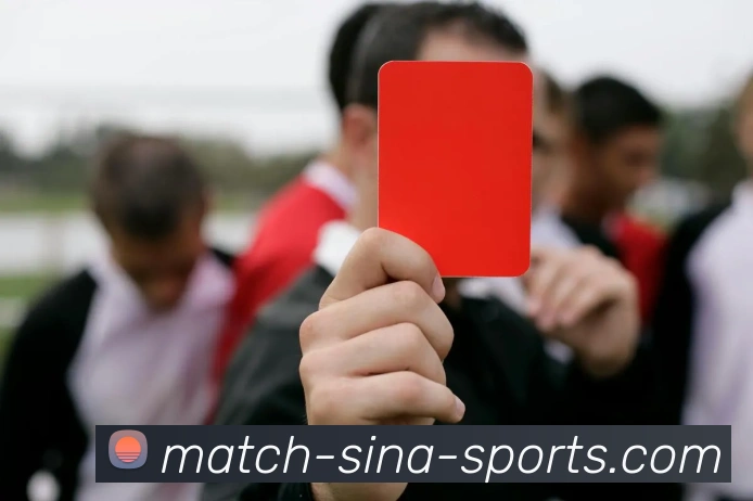 新浪体育平台生态图